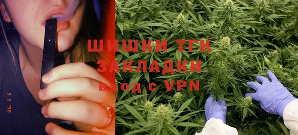крисы Белокуриха