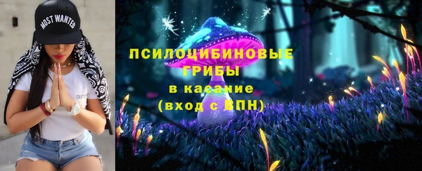 крисы Белокуриха