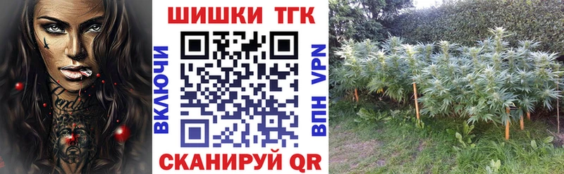 наркотики  Богородицк  кракен зеркало  Шишки марихуана планчик 